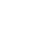 workforce solutions logo